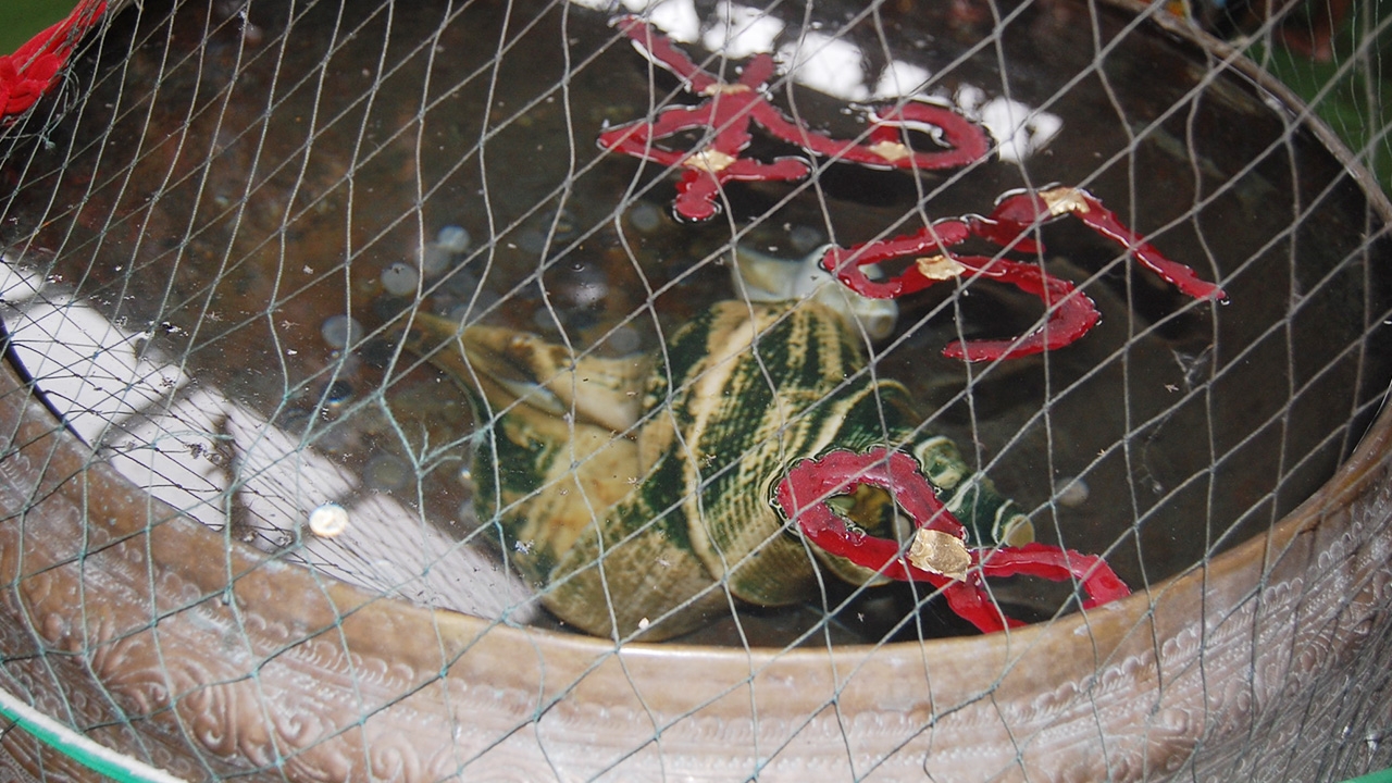 คอหวยแห่ร่วมพิธีเปิดถุงเงินในฝ่ามือ เชื่อเสริมโชคลาภก่อนส่อง "เลขเด็ด"