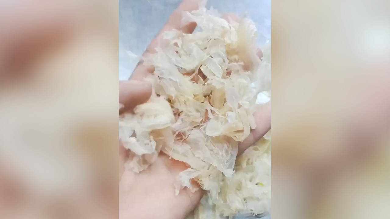 อ.เจษฎา เผยไม่น่าใช่ แมงกะพรุนปลอม เหมือนจริงมาก ราคาต้องแพงกว่านี้