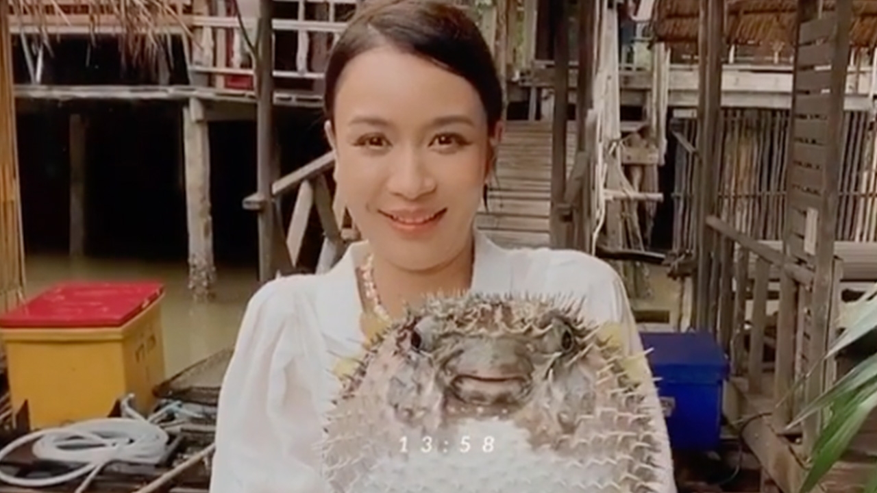 ชาวเน็ตเตือน เบนซ์ ปุณยาพร อย่าทำแบบนี้กับปลาปักเป้า อาจทำให้ตายเร็วขึ้น (คลิป)