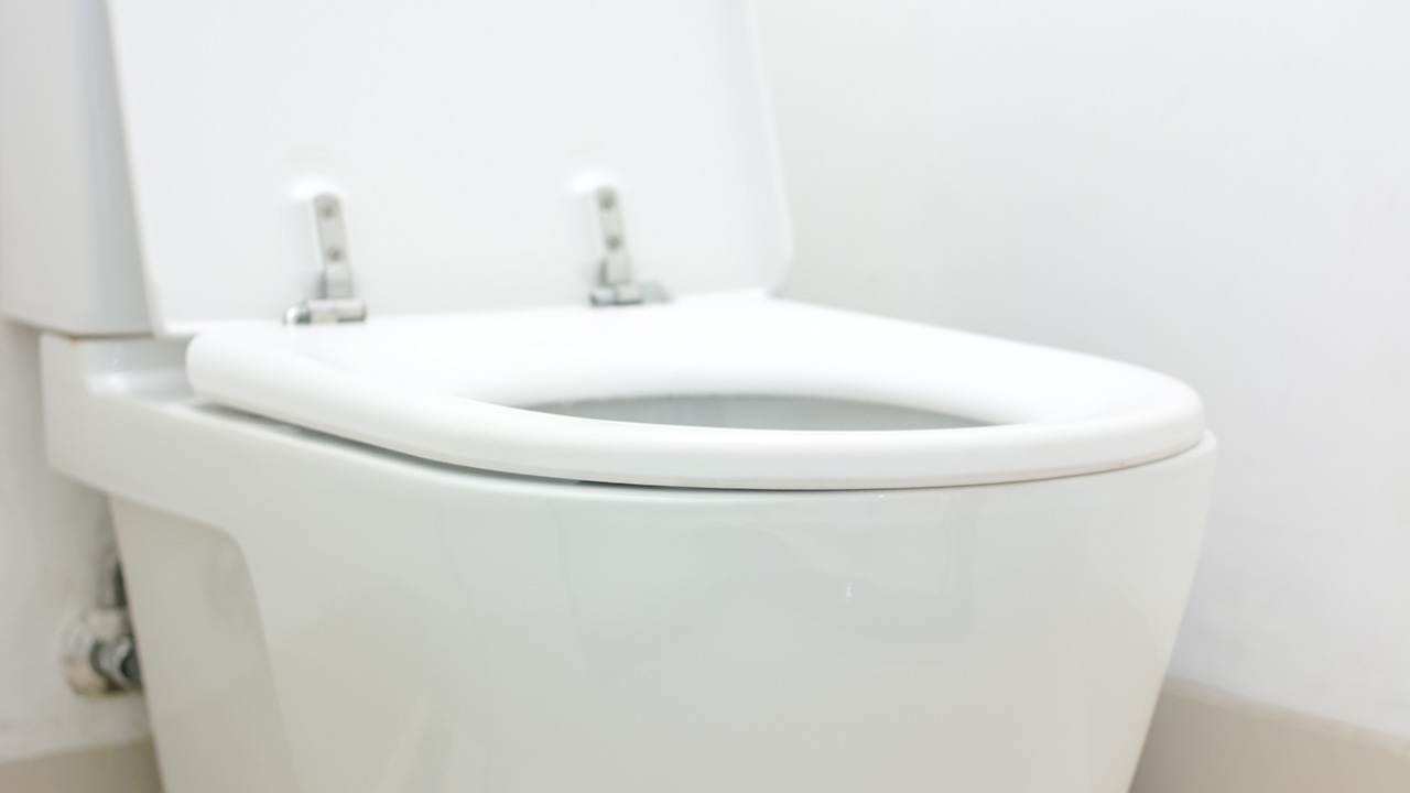 แม่กรี๊ดลั่น งูพุ่งจากชักโครกคอนโดฯ กัดก้นลูก 4 ขวบเจ็บ