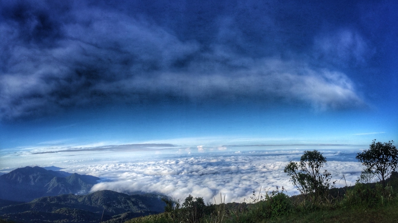 ดอยอินทนนท์ 11 องศาฯ  นทท.แห่สัมผัสหนาว ชมฟ้าสีทองสลับเมฆขาว งดงาม