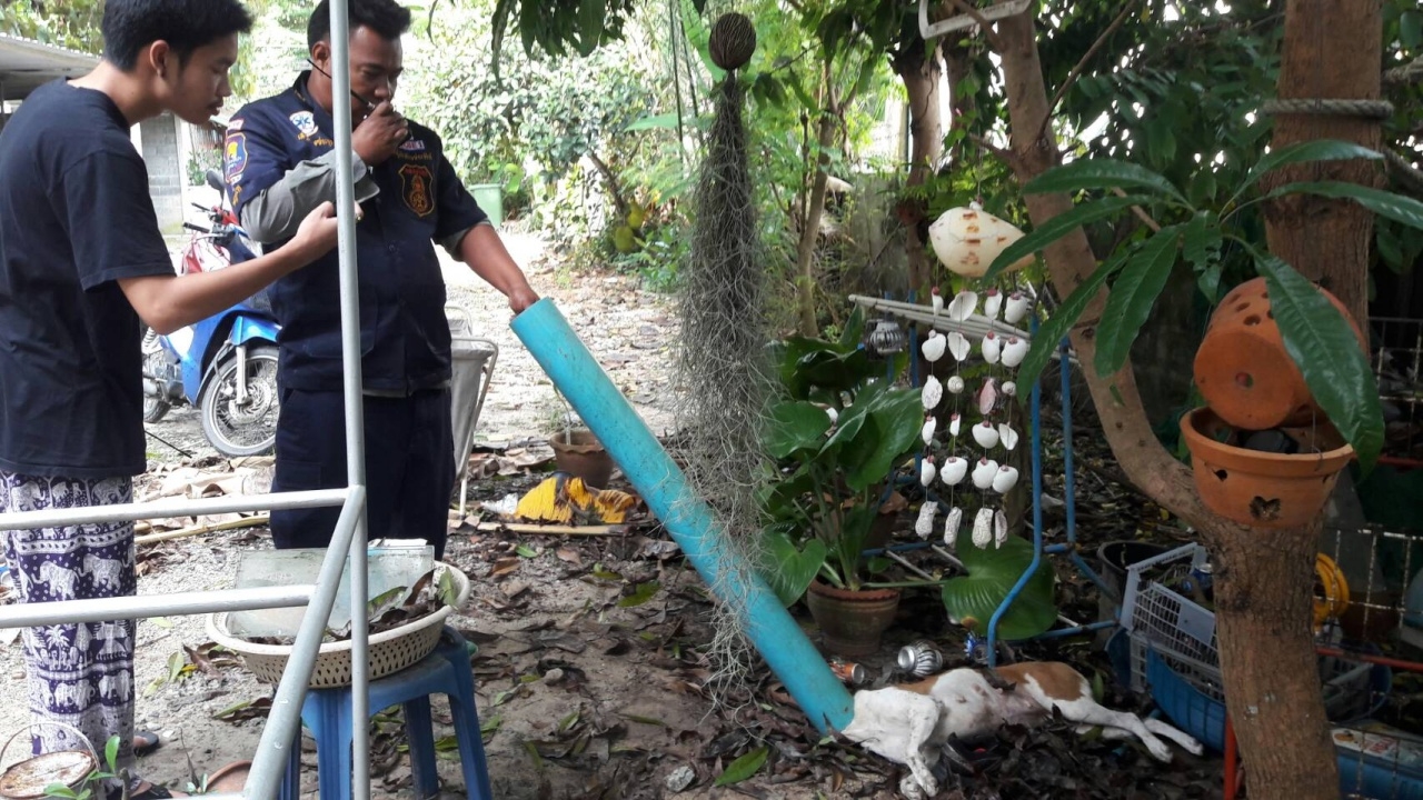 เข้าไปยังไงลูก! น้องหมาหัวติดท่อพีวีซี กู้ภัยศรีราชาช่วยได้ปลอดภัย