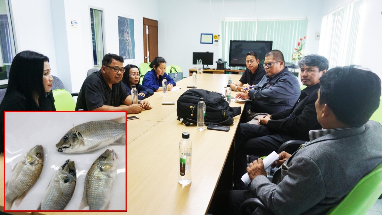 ชาวประมงรับกังวล 'ปลาหมอเอเลี่ยน' โผล่ชายฝั่งชุมพร จี้กำจัดด่วน!