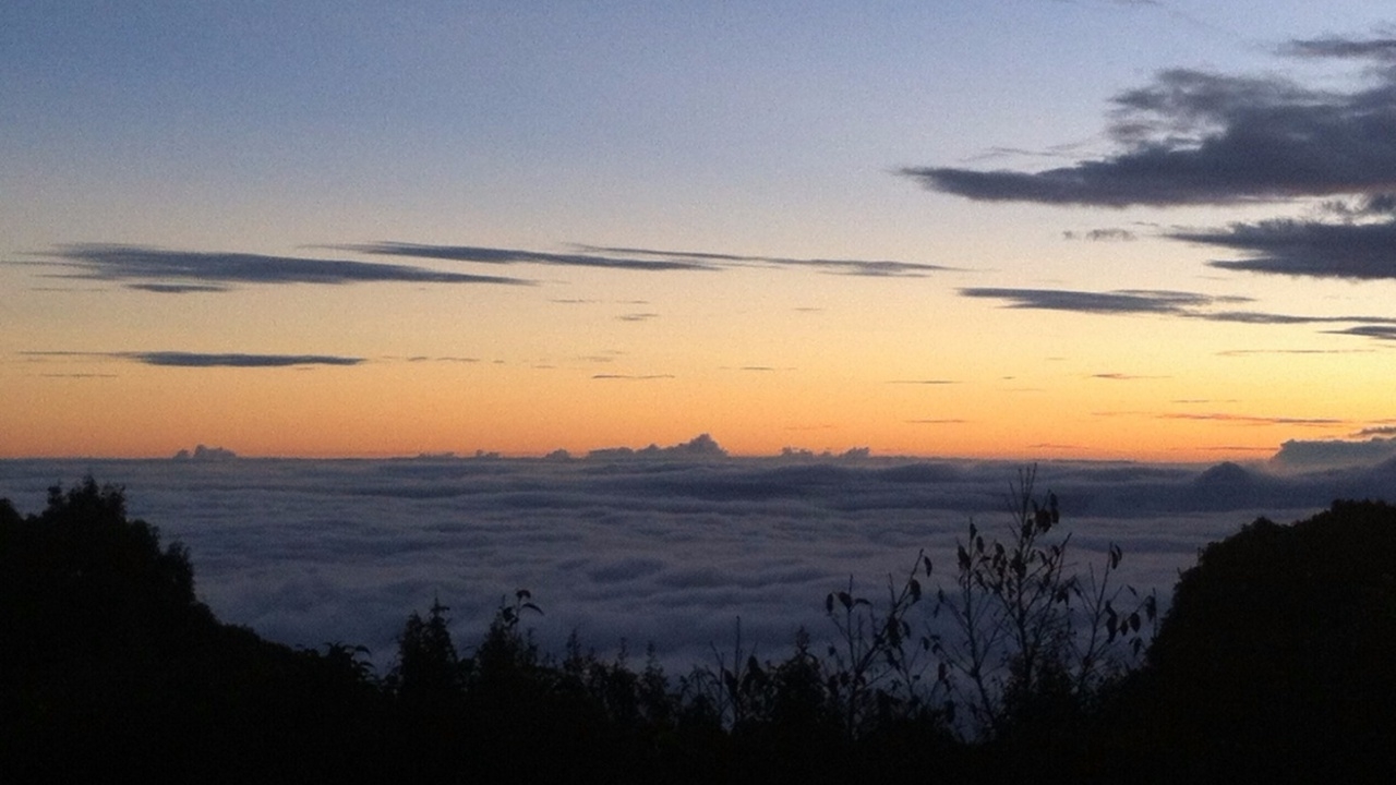 ฟ้าเป็นใจดอยอินทนนท์ไร้ฝน นทท.ฝ่าลมหนาว 11 องศาฯ ชมทะเลหมอกสมใจ