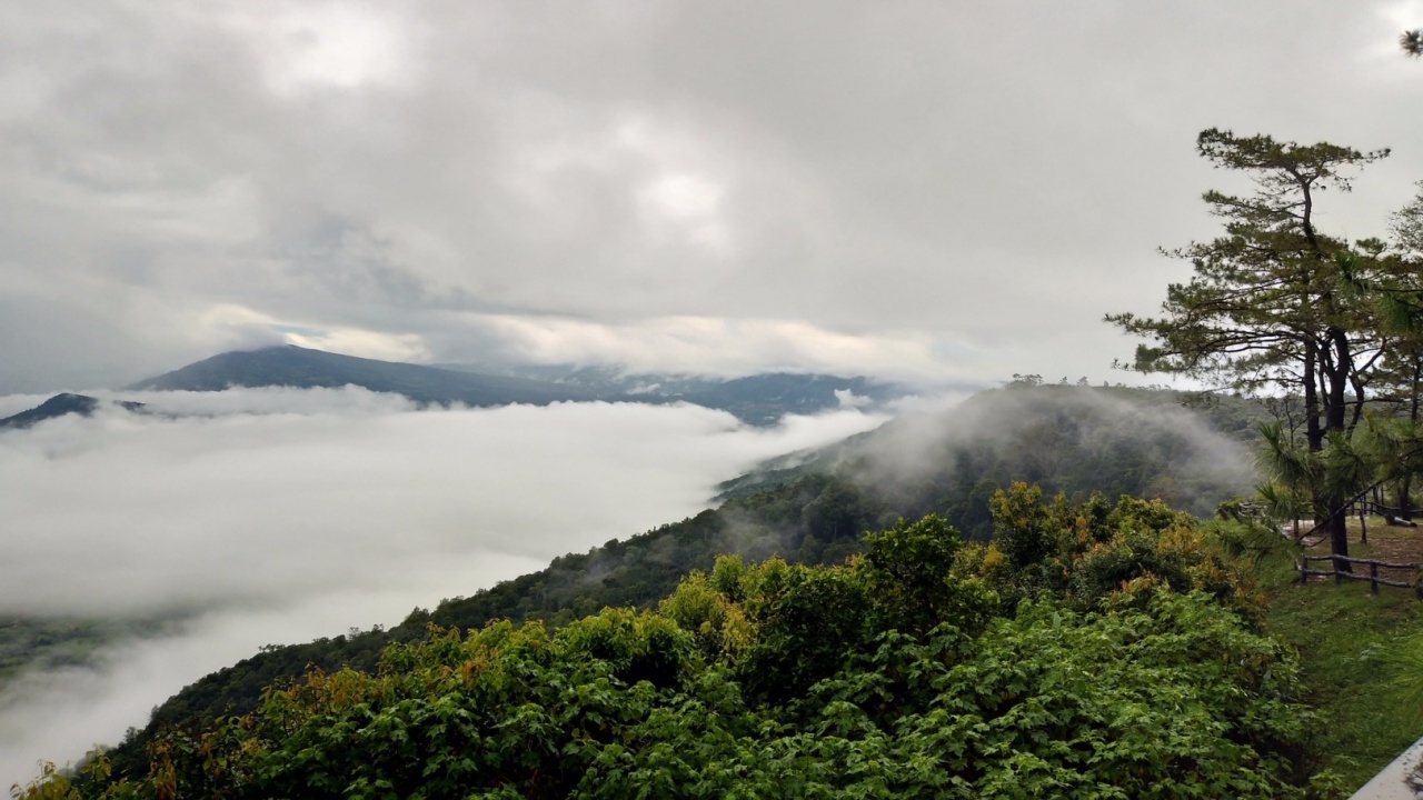 ยอดภูเรือ เช้านี้ 15 องศาฯ ทะเลหมอกขาวโพลนงามตา อากาศเย็นสบาย