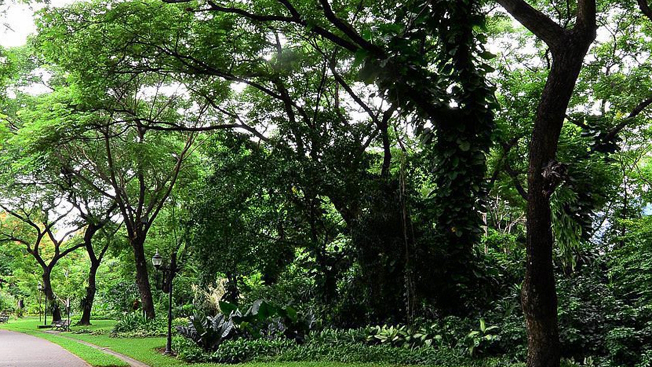 ทําด็อกพาร์คแห่งที่ 2 ที่เพชรเกษม 69