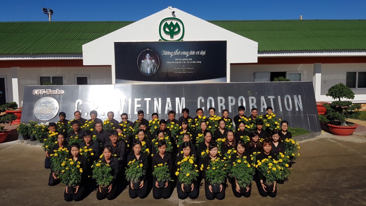ซี.พี.เวียดนาม ร่วมปลูกดาวเรืองบานสะพรั่งทั่วเวียดนาม ช่วงพระราชพิธีฯ