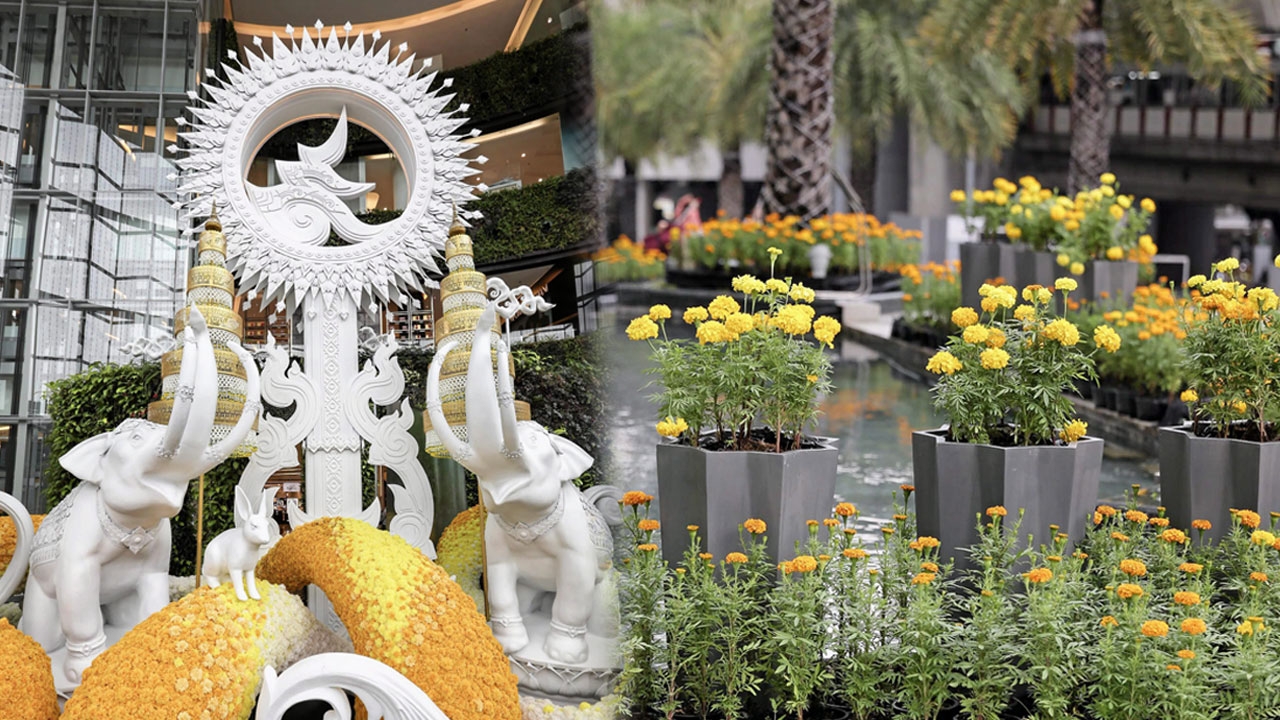 ร่วมบันทึกความทรงจำอันยิ่งใหญ่ น้อมรำลึกในพระมหากรุณาธิคุณ ในหลวง ร.9