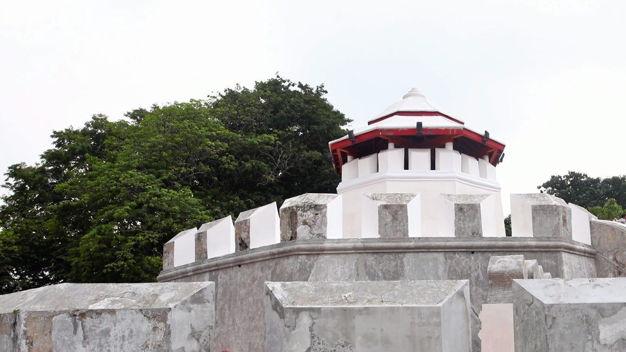 5 ไม้ใหญ่ป้อมมหากาฬส่อวุ่น รากแผ่ใต้กำแพงป้อม-ตัดก็ไม่ได้