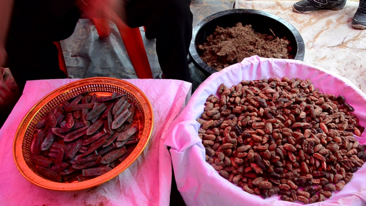เปิดกรุพระเครื่องอายุประมาณ 600 ปี เจอใต้ฐานเจดีย์เก่า ยอดเขาปกล้น