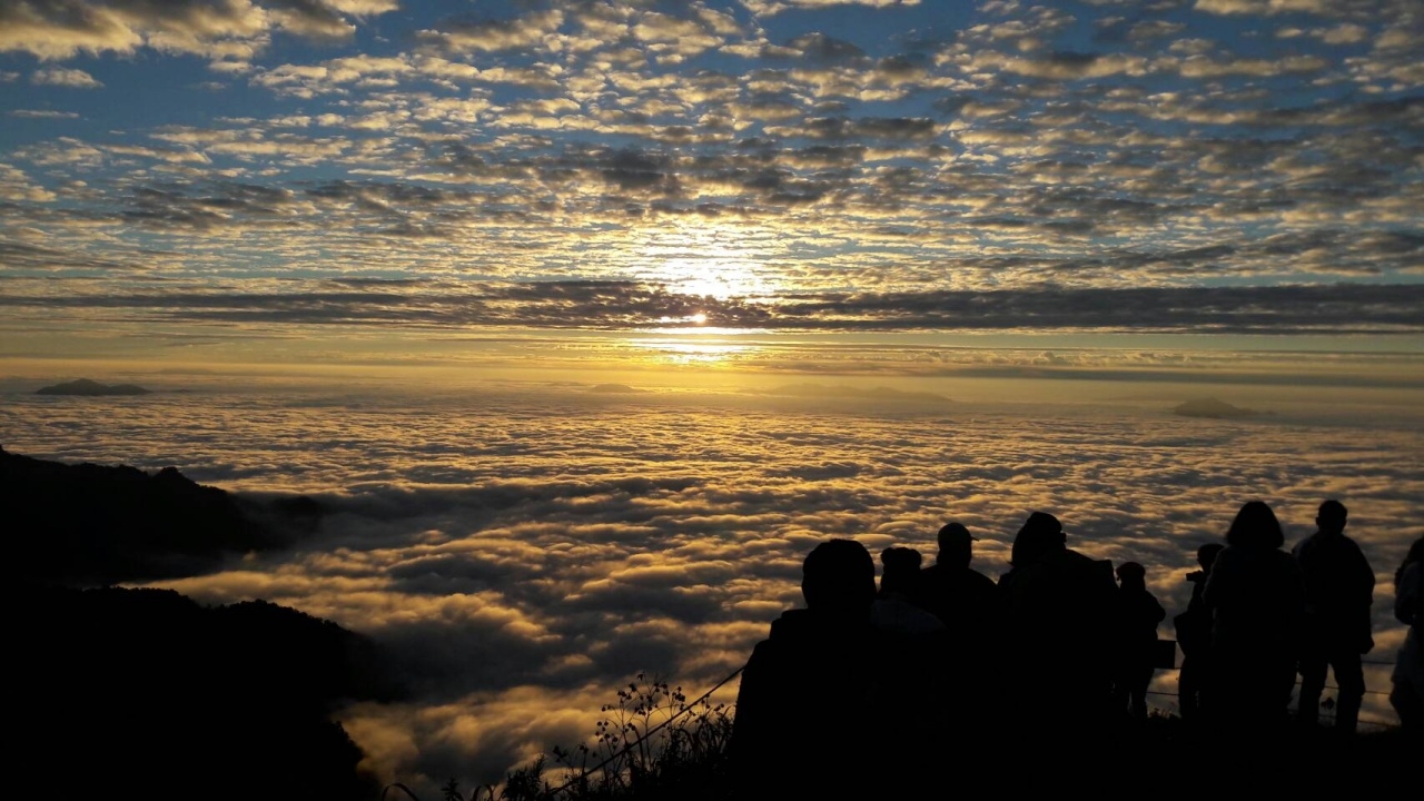 ภูชี้ฟ้า-ภูชี้ดาว ท้องฟ้าใส นักท่องเที่ยวฝ่าลมหนาวแห่ชมทะเลหมอก