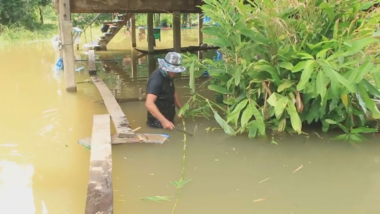 ชาวนครสวรรค์ ประสบปัญหาน้ำท่วมกว่า 40 หลังคา เกษตรกรเดือดร้อนหนัก 