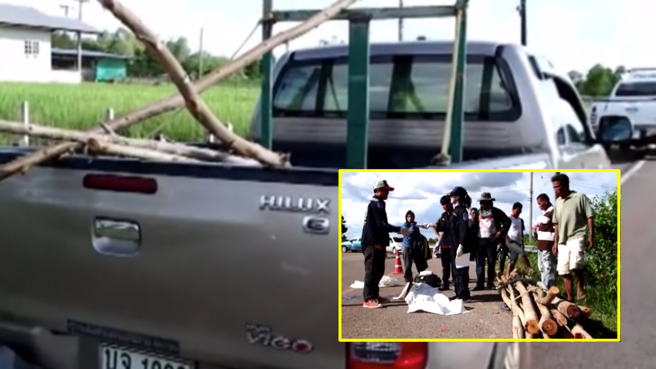 พาคนงานไปตัดไม้ กลายเป็นผู้ต้องหา มัดไม่ดีหลุดฟาดตกรถ ตายคาที่ 