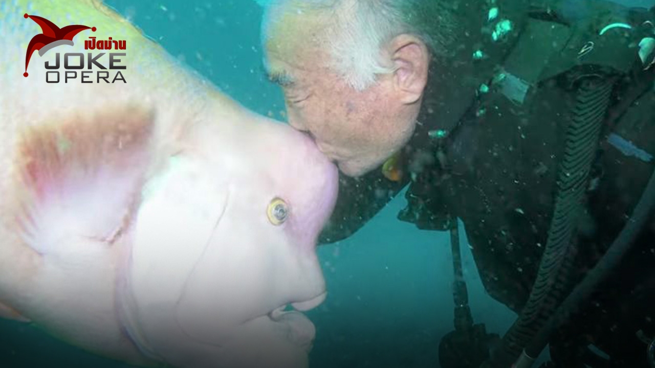 พ่อเฒ่าเป็นสหายซี้ของปลา (คลิป)