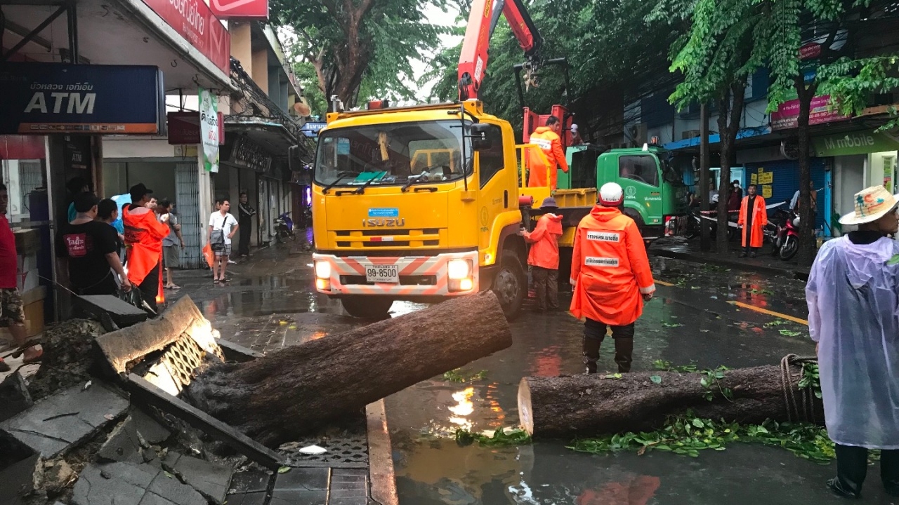 เร่งเคลียร์พื้นที่ หลังฝนถล่มกรุงเทพฯ ทำต้นไม้ใหญ่โค่นทับบ้าน-ขวางถนน