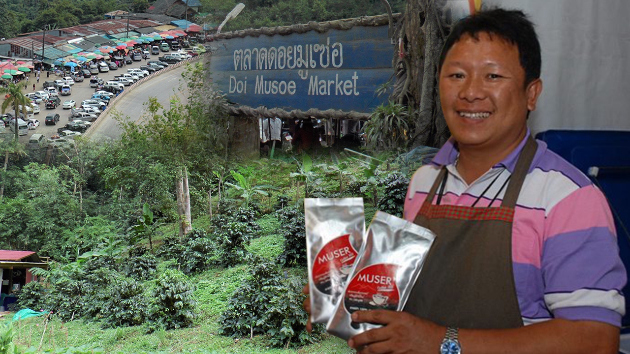 ต้นกาแฟพระราชทาน พลิกไร่ฝิ่นสู่เกษตรยั่งยืน