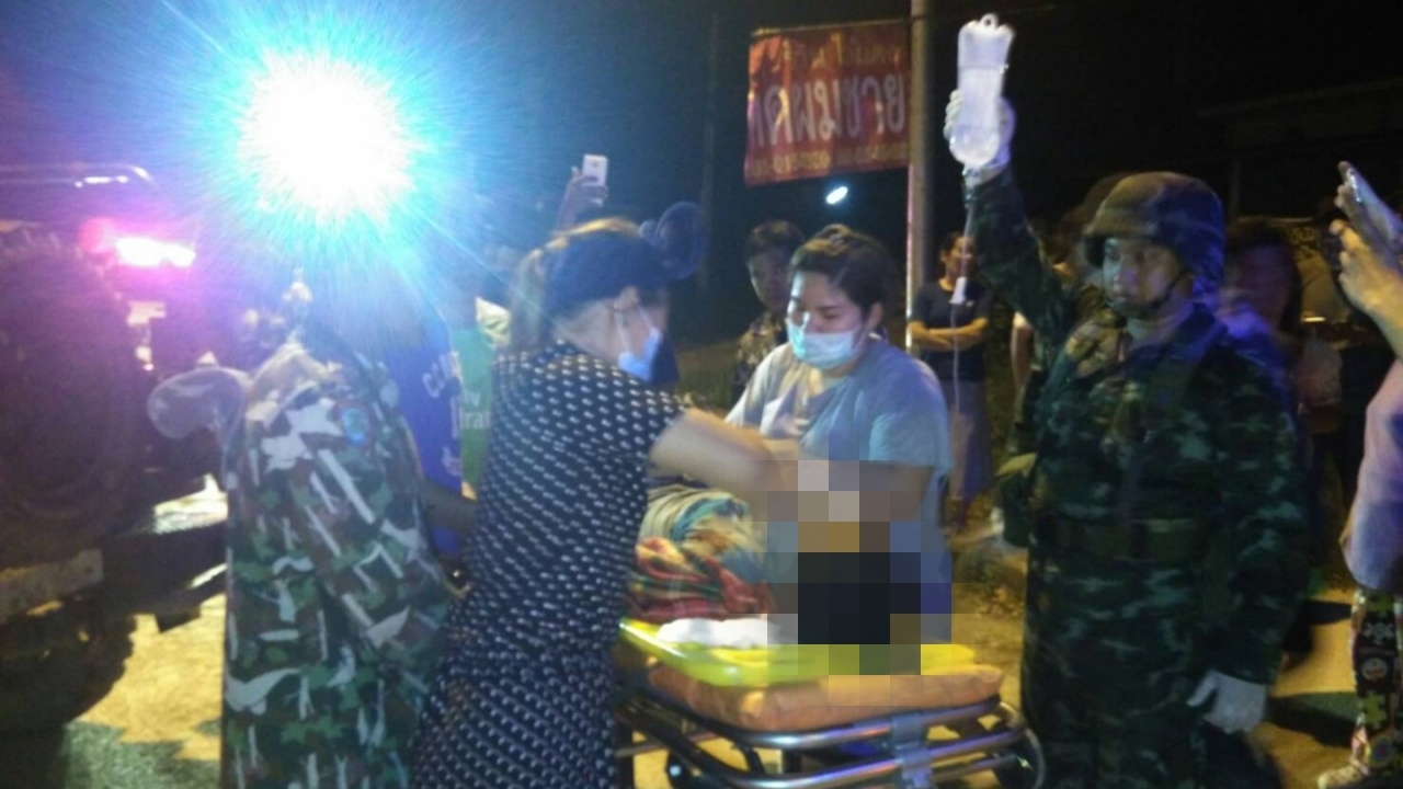 ระทึก! ช้างป่าแก่งกระจาน เหยียบหนุ่ม เข้าป่าไปหาเห็ด สาหัส