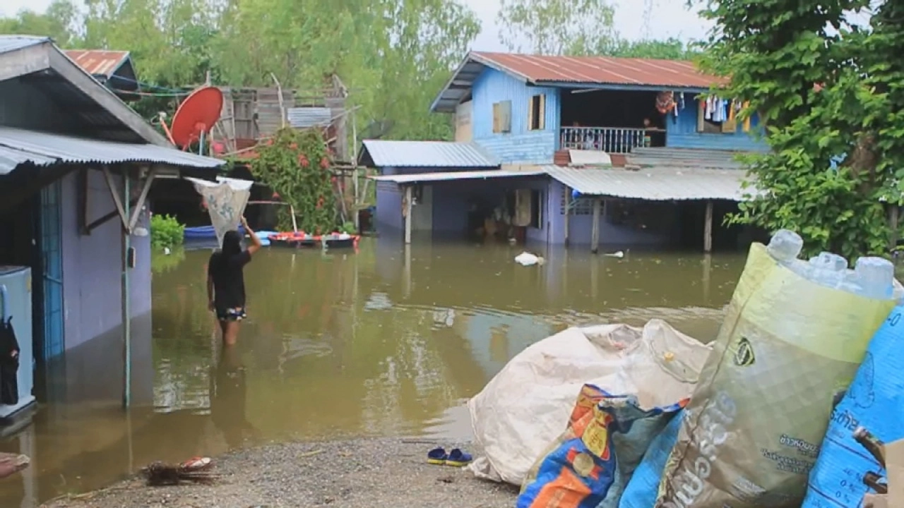 ชาวนครสวรรค์ เร่งอพยพหนีน้ำเจ้าพระยา ส่วนน้ำน่านท่วมบ่อปลาเสียหายนับแสน