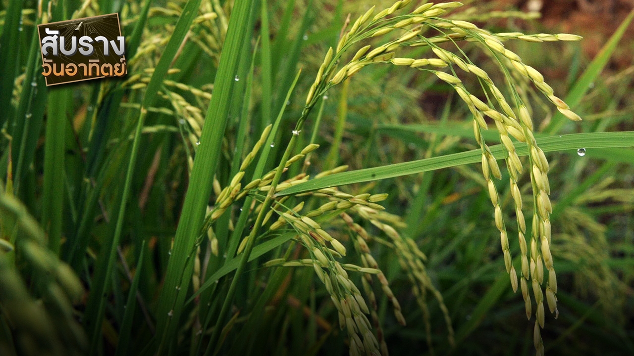 ดีลลึกแต่ไม่ลับ