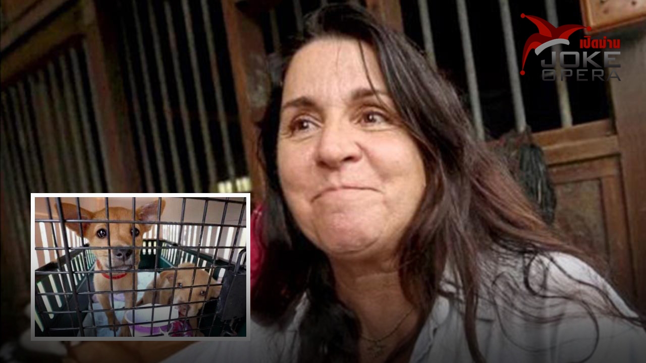 แม่พระของสุนัขและแมว