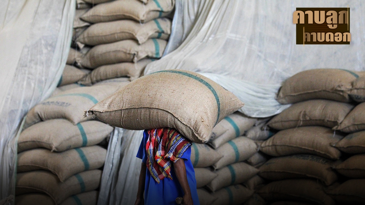 สิ่งที่จะตามมาจากคดีรับจำนำข้าว