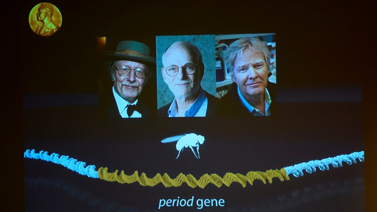 3 มะกันซิวโนเบลการแพทย์ พบโมเลกุลควบคุมนาฬิกาชีวภาพในสิ่งมีชีวิต