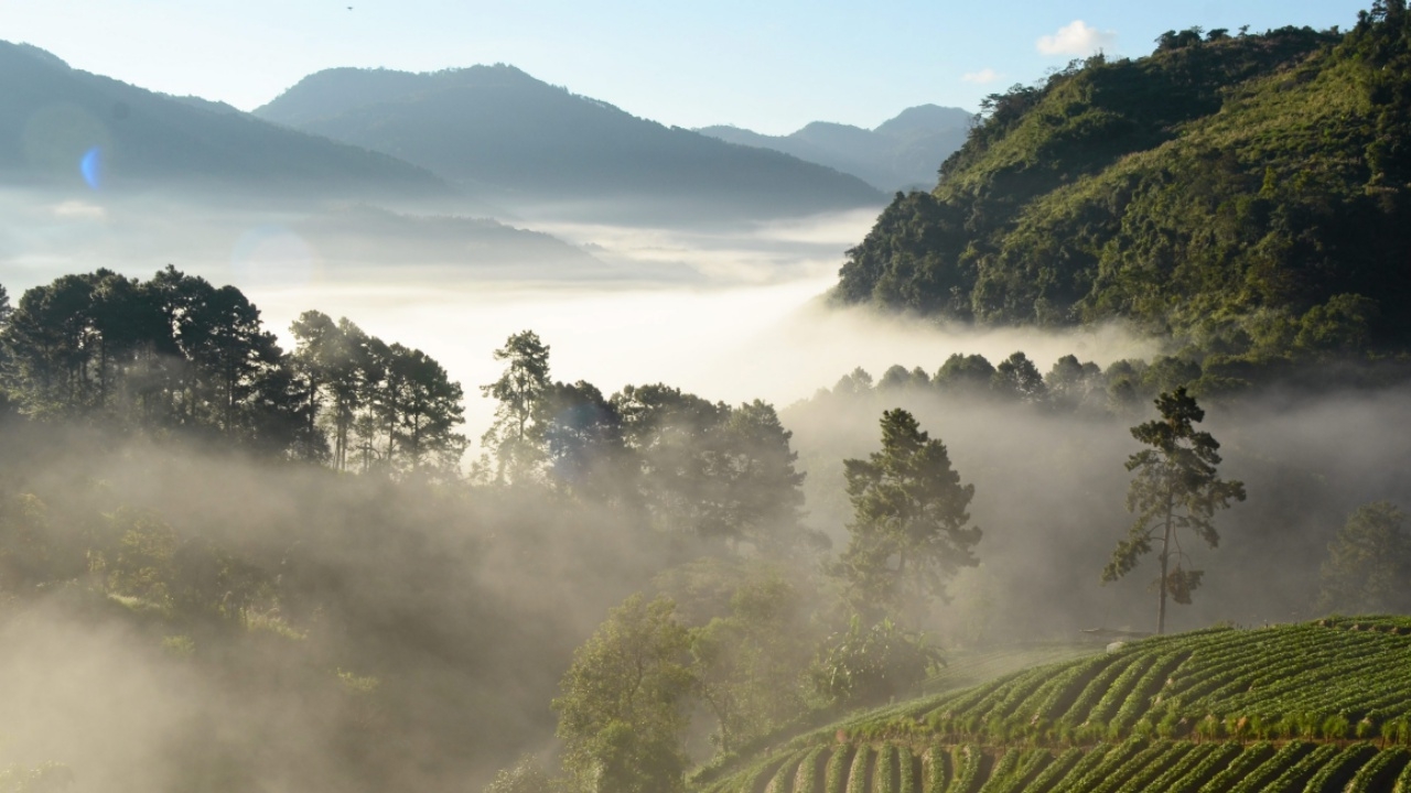 ใกล้แล้ว! อุตุฯ คาดไทยเข้าสู่ฤดูหนาวกลาง ต.ค.นี้ ยาวไปถึงกลาง ก.พ.61