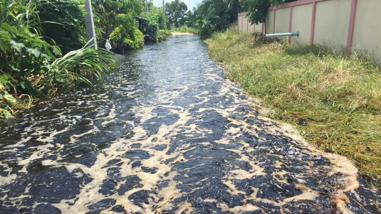 เร่งสอบโรงงานต้นเหตุ หลังบ่อบำบัดน้ำเสียล้นท่วมบ้านเรือน-ปลาตายเกลื่อน