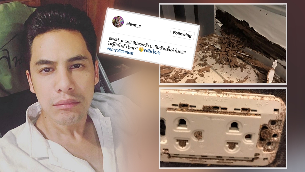 ซี ศิวัฒน์ สุดช็อก! เปิดสภาพบ้านถูกปลวกแทะ หลังเพิ่งรีโนเวตใหม่