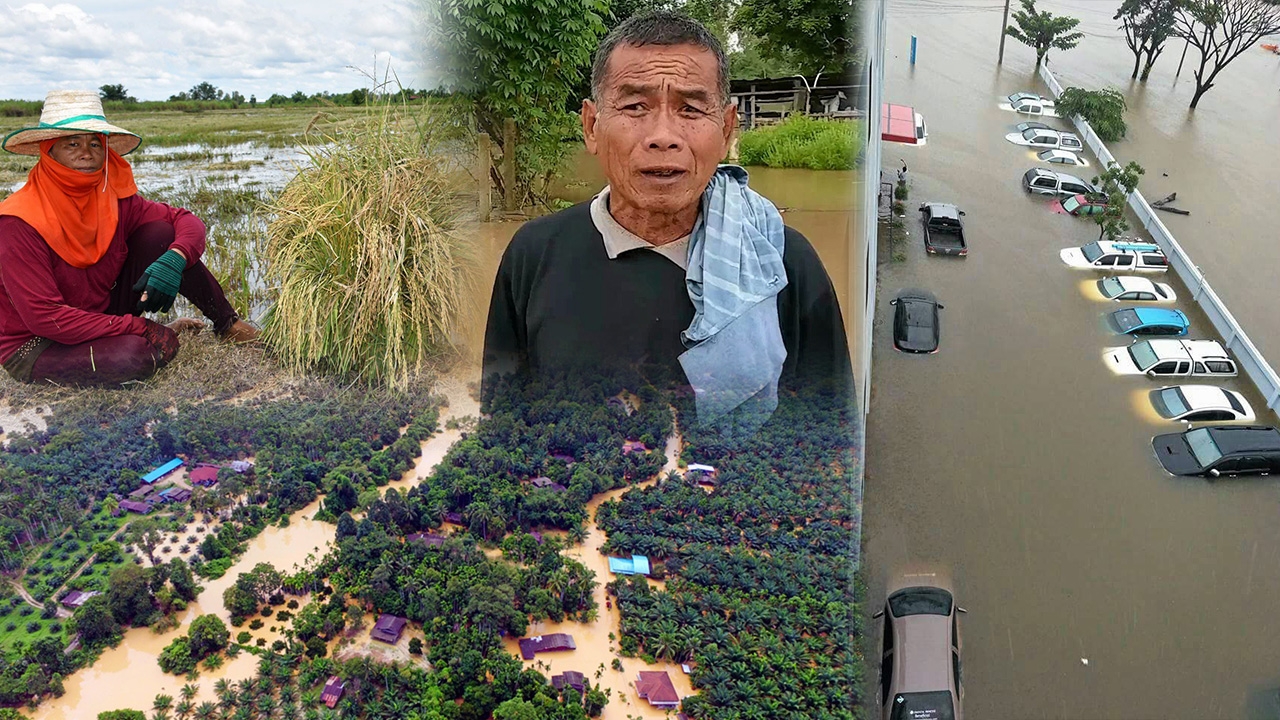 ซับน้ำตาผู้ประสบภัยน้ำท่วม ส่องด่วน! ประกันวินาศภัยที่เคลมได้เงินทันที