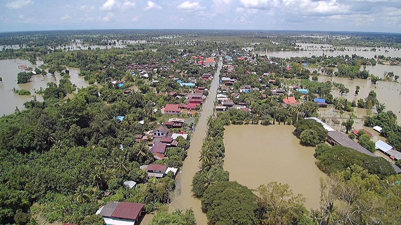 รัฐซับน้ำตาชาวนาไทยโดนน้ำท่วม สศก.ลั่นยอดเคลมนาข้าวทะลุ 3%แน่