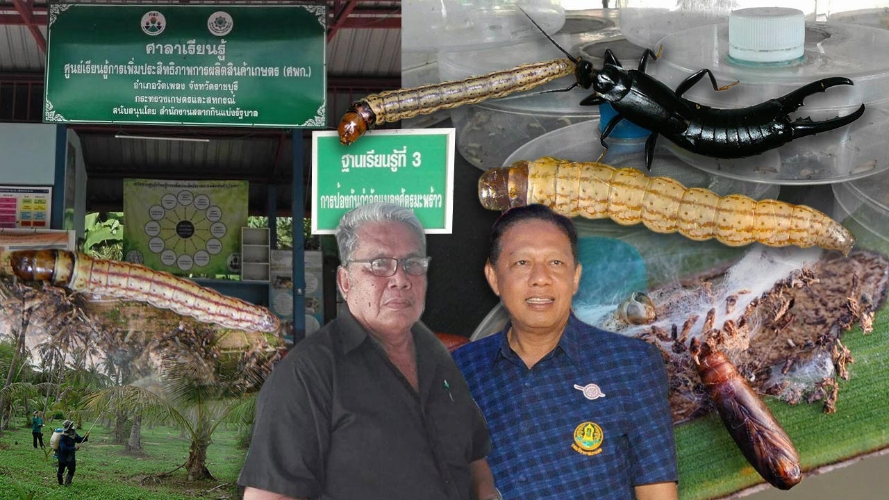 กุดหัว!หนอนหัวดำ ให้พ้นประเทศไทย