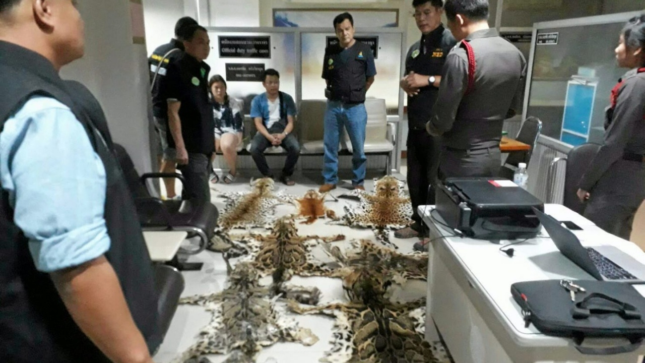 จับกลางเวียง หนุ่มสาวแพร่โพสต์เสนอขาย ‘หนังเสือ’ ทางโซเชียล 