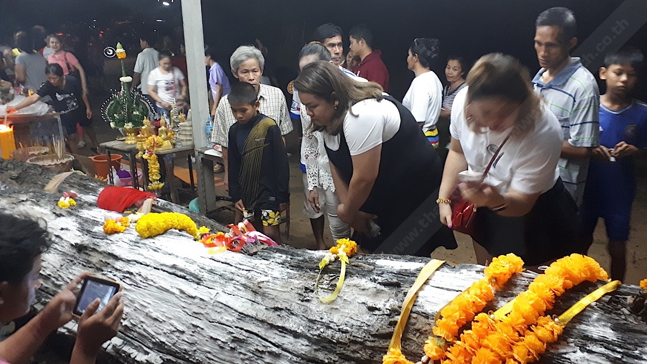กำแพงเพชรคึกคัก! คนแห่ขอเลขเด็ดต้นตะเคียน หวังรวยวันหวยออก
