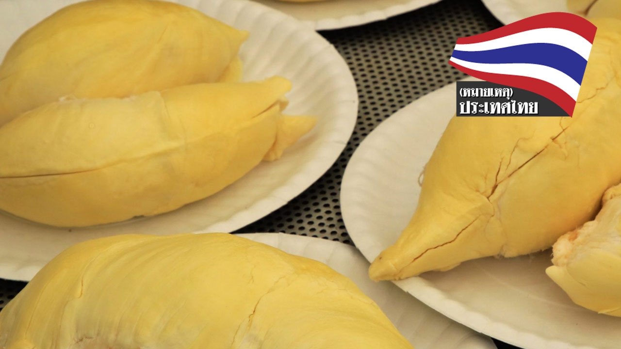 ทุเรียนเหวินจี้ ทุเรียนที่ดีที่สุดในโลก