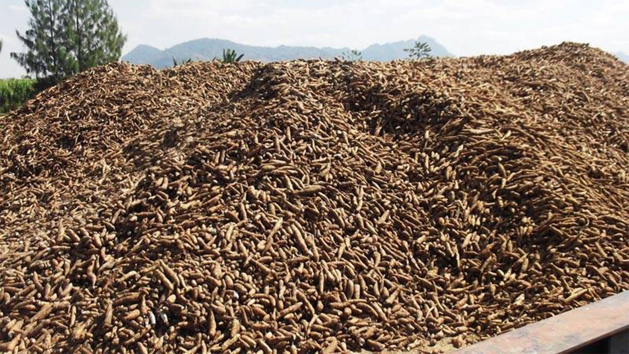 รัฐขายมันเส้นโละสต๊อก