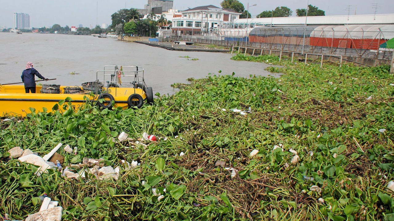 ซื้อเรือเก็บขยะเพิ่ม พร้อมเรืองับผักตบ