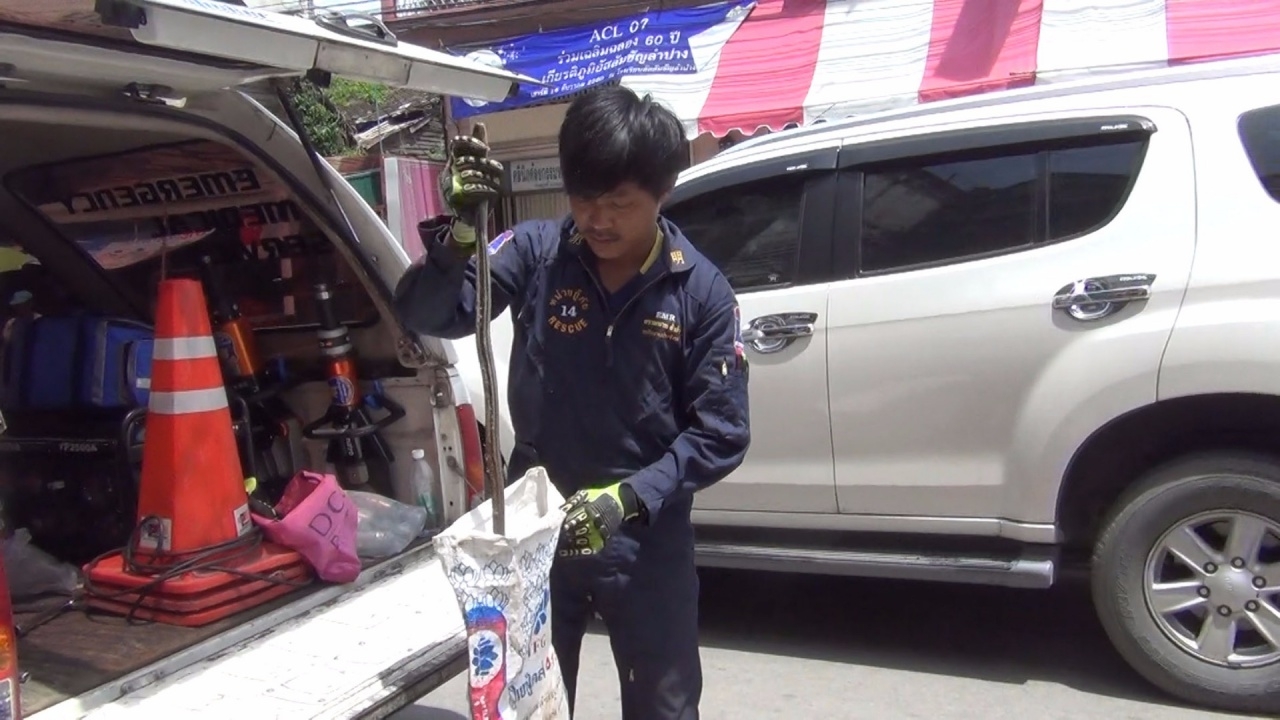 คอหวยแห่ซื้อเลขทะเบียนรถเก๋ง หลังงูสิงเลื้อยเข้าซุก ขายดีเกลี้ยงแผง