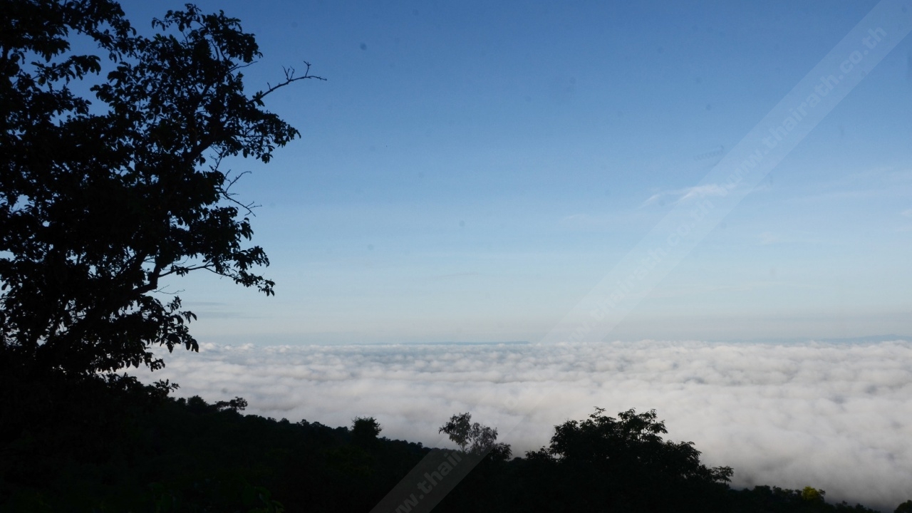 ทะเลหมอกภูพานน้อยมาแล้ว! ไหลปกคลุม ตัวเมืองหนองบัวลำภู 