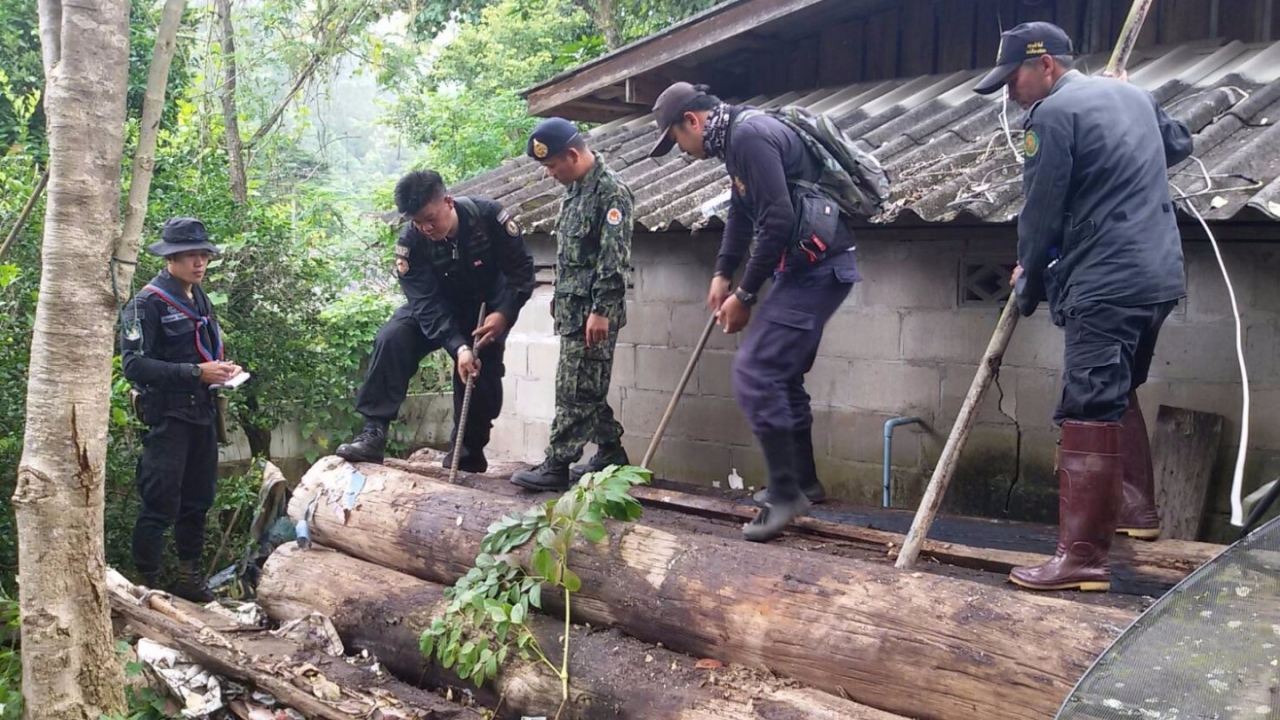 ทพ.36 เปิดยุทธการพิทักษ์ป่าสาละวิน หลังพบนายทุนรุกตัดไม้สักจำนวนมาก