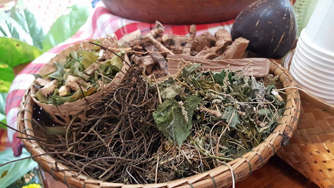 หนุ่มไทยเฮ สมุนไพรบํารุงนกเขา สูตรยาเก่า!ตําราภาคใต้ ช่วยแก้โรคเซ็กซ์เสื่อม