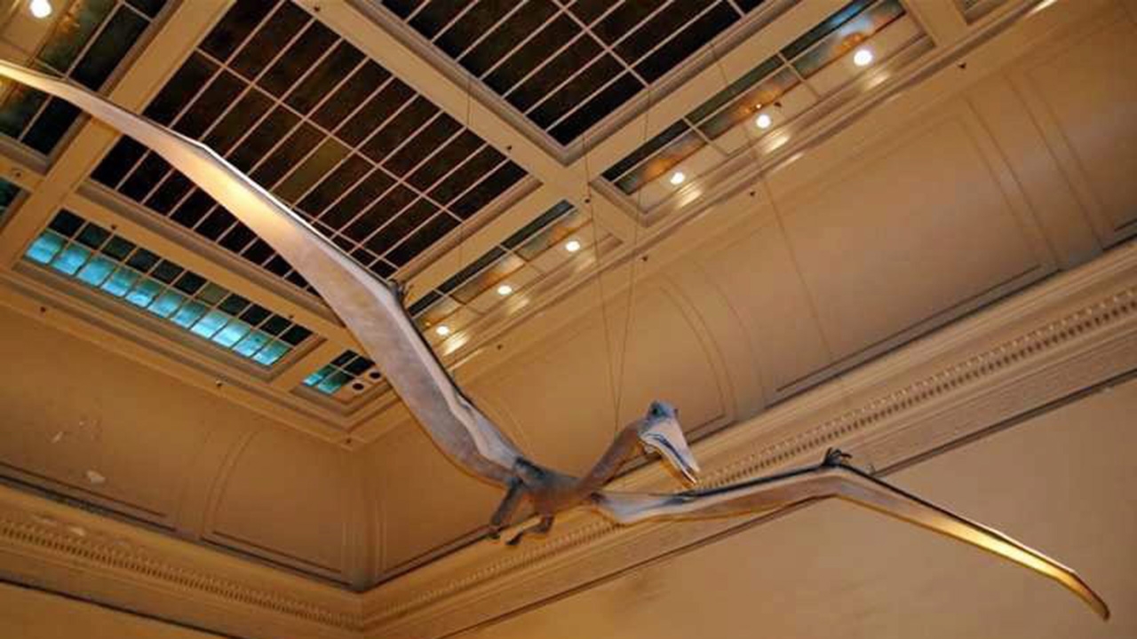 นกและสัตว์เลื้อยคลานบินได้อยู่กันอย่างสันติ