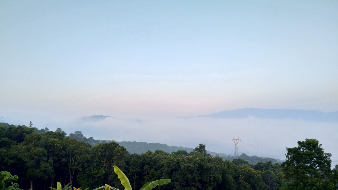 เหนือ-อีสาน อุณหภูมิลดอีก นักท่องเที่ยวขึ้นชมทะเลหมอก สัมผัสอากาศหนาว