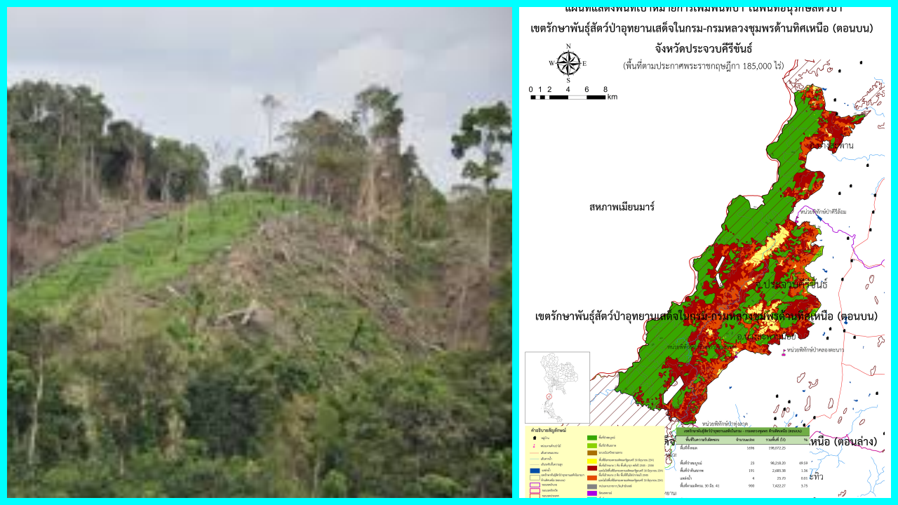 ทวงคืนป่าต้นน้ำบางสะพานฯ เชิญมาชี้พื้นที่ทำกิน ไม่มาถือว่าสละสิทธิ์