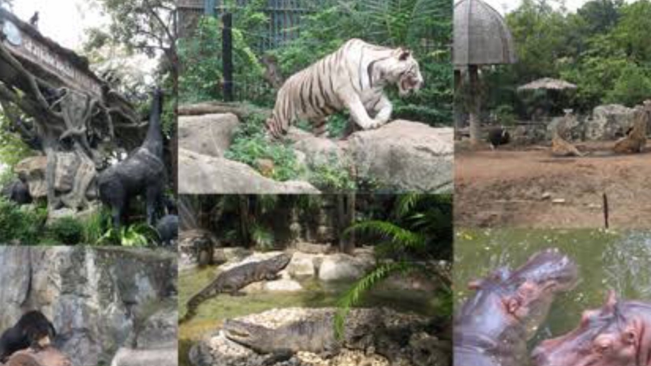 กระทรวงทรัพยากรฯ เปิดสวนสัตว์ดุสิต จัดงานวันเด็ก ยุคดิจิทัล 