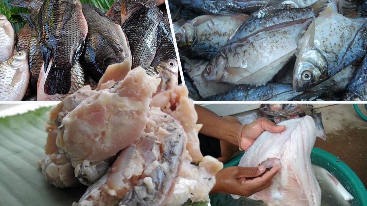 ดันมาตรฐานปลาส้ม เจาะตลาดเพื่อนบ้าน