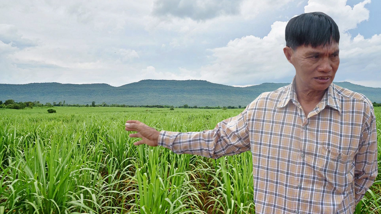 หนองแซงโมเดล ไร่อ้อยโมเดิร์นฟาร์ม