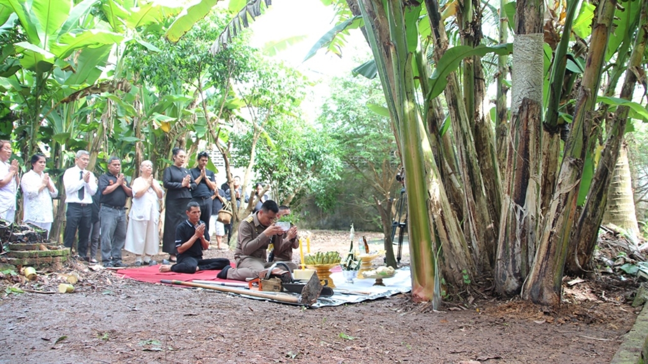 บวงสรวง อัญเชิญ 'ต้นกล้วยตานี' สวนเมืองจันท์ ร่วมประดับพระจิตกาธาน