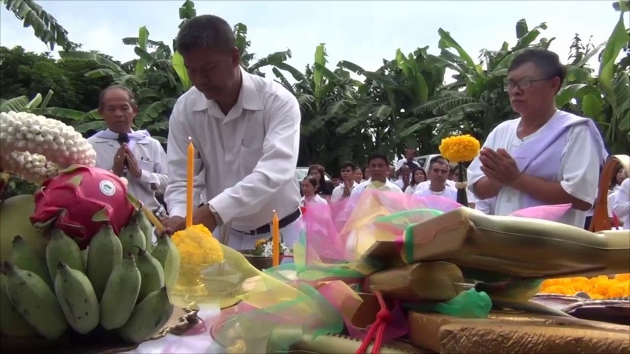 บวงสรวง ต้นกล้วยตานี 9 ต้น ที่อ่างทอง นำไปแทงหยวกประดับพระจิตกาธาน