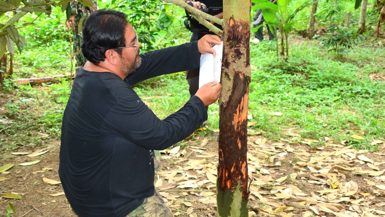 ชาวชุมพร ยังผวา 4 วัน เจอหมี สั่งตั้งกรง พร้อมติดวงจรปิด ดักจับ 
